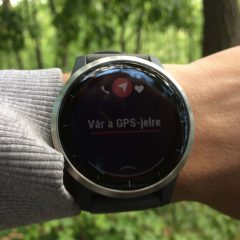 Barangolás az erdőben – GPS jelre várva