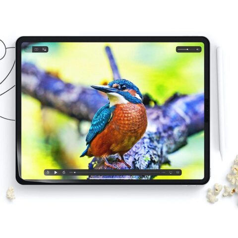 HOFI Paper Pro+ for iPad Pro 11" (2024) - Image 2
