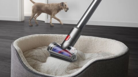 Dyson V12 Detect Slim Absolute vezeték nélküli porszívó - Image 2