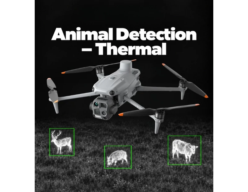 AI Algorithm - Animal Detection - Thermal
