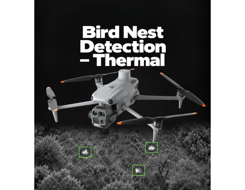AI Algorithm - Bird Nest Detection - Thermal