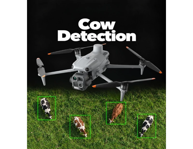AI Algorithm - Cow Detection