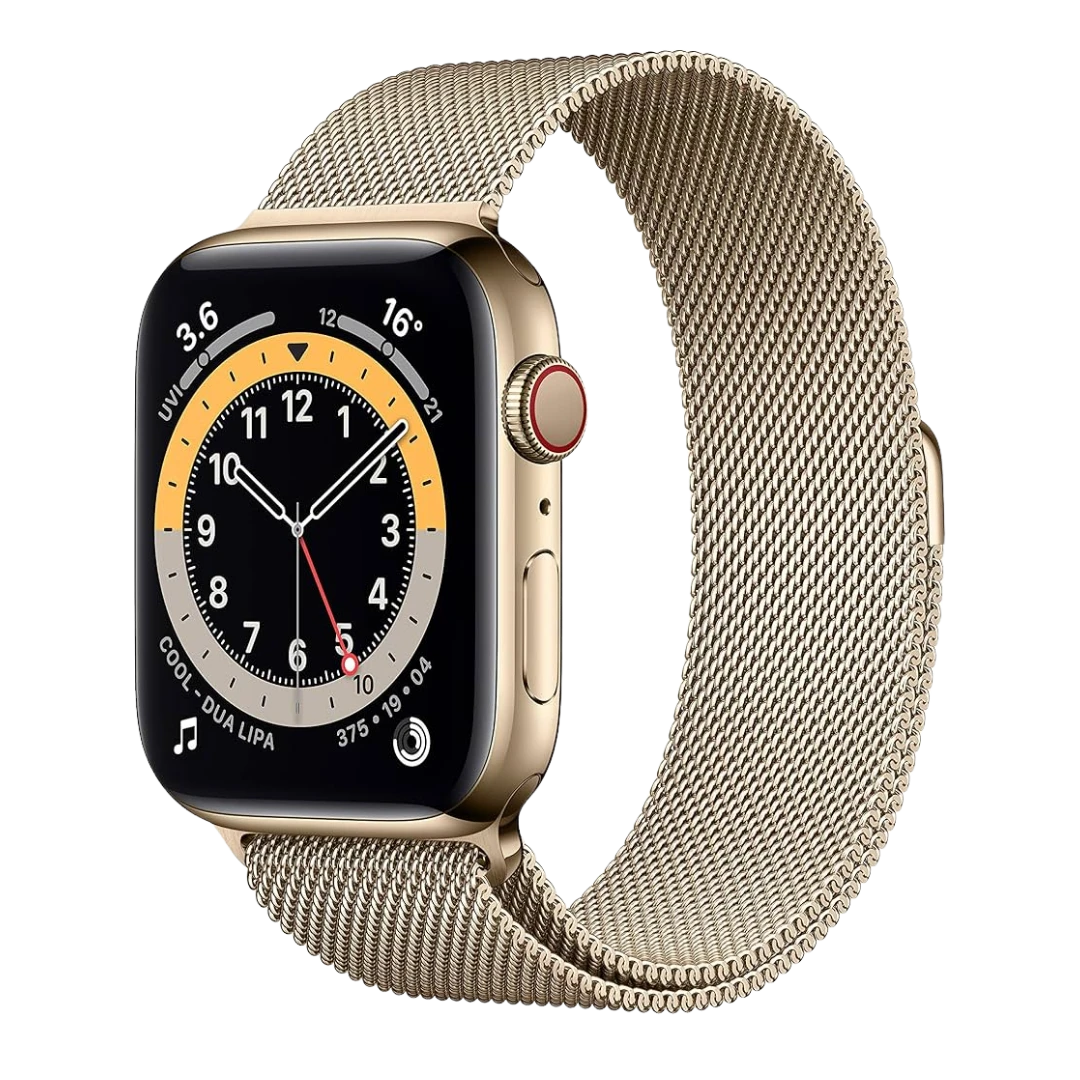 watch series 6 stainless steel